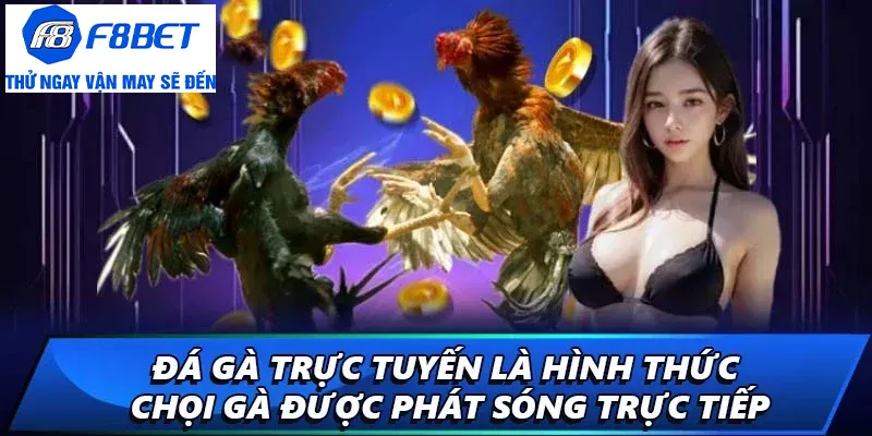 tìm hiểu link đá gà trực tuyến